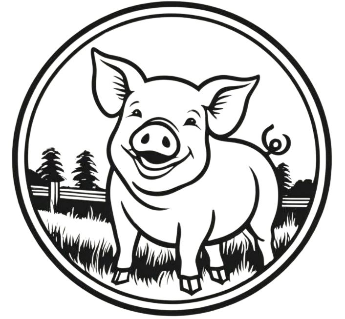 Freilandschweine Dormitz